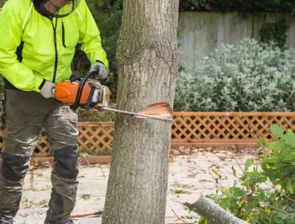 Degas Paysages Paysagiste Courville Sur Eure Abattage Delicat