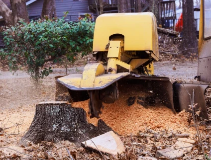 Degas Paysages Paysagiste Courville Sur Eure Dessouchage Et Finitions