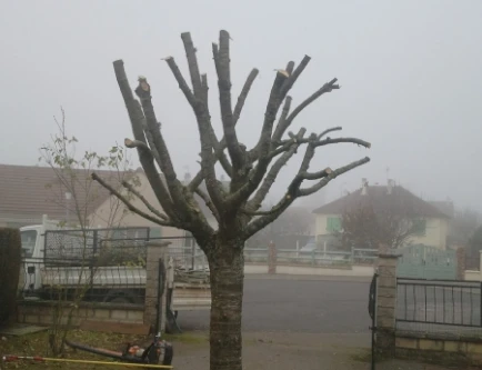 Degas Paysages Paysagiste Courville Sur Eure Elagage Toutes Hauteurs