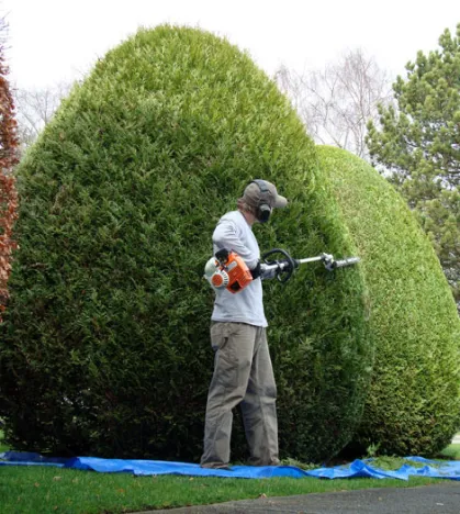 Degas Paysages Paysagiste Courville Sur Eure Entretien Espaces Verts 3 Degas Paysages Paysagiste Courville Sur Eure Entretien Espaces Verts 3